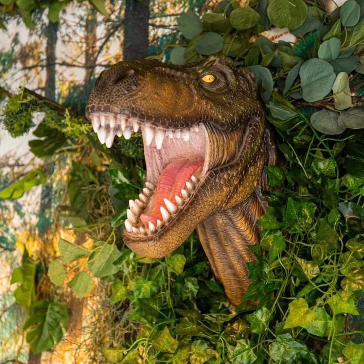 Photo of Others in Montigny-les-Metz