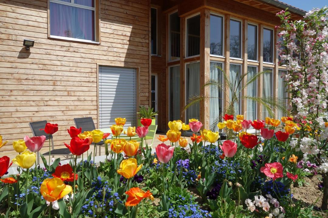 Photo of Others in Rillieux-la-Pape