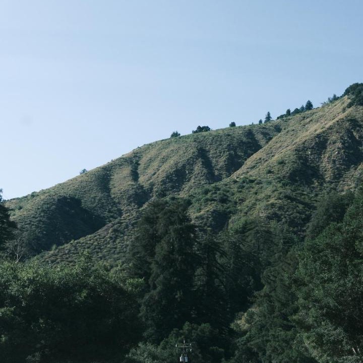 Photo of Others in Jenner