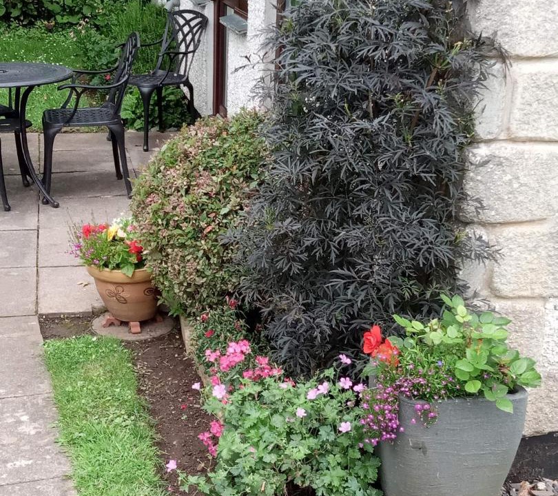 Photo of Others in Chysauster