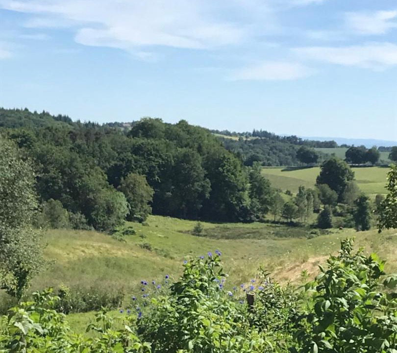 Photo of Others in Marcoles