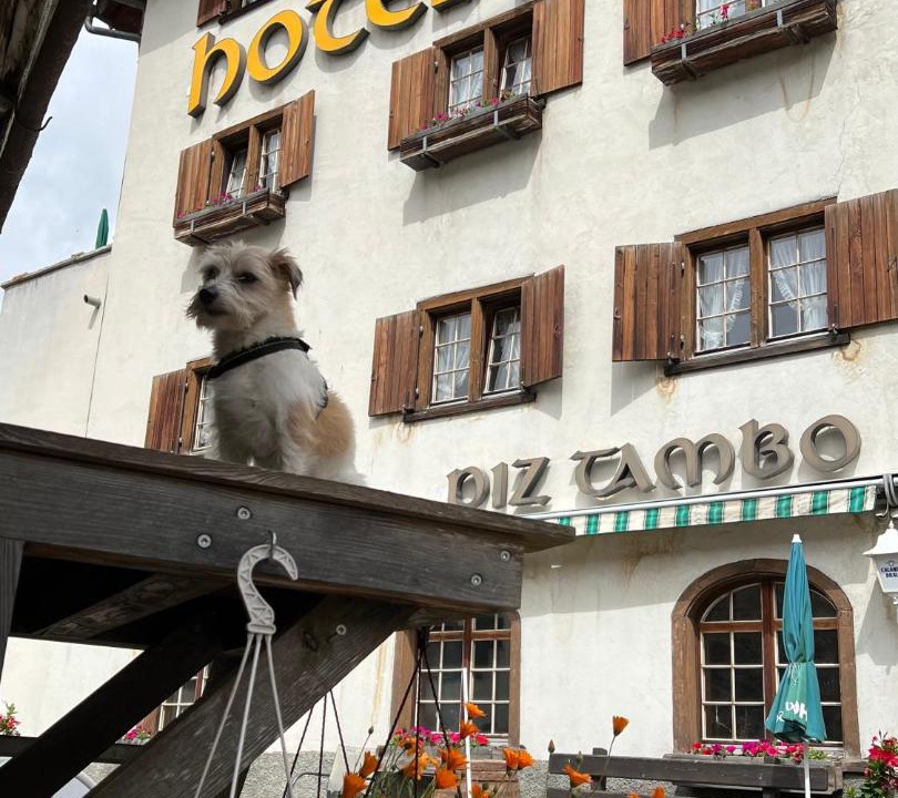 Photo of Others in Spluegen