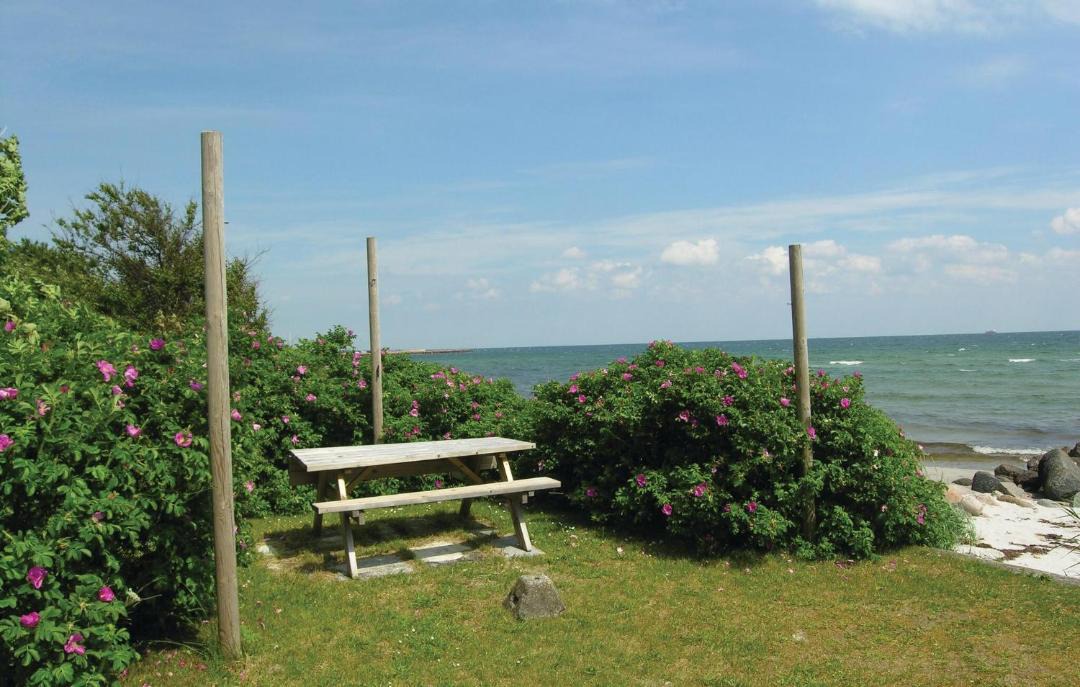 Photo of Others in Spodsbjerg