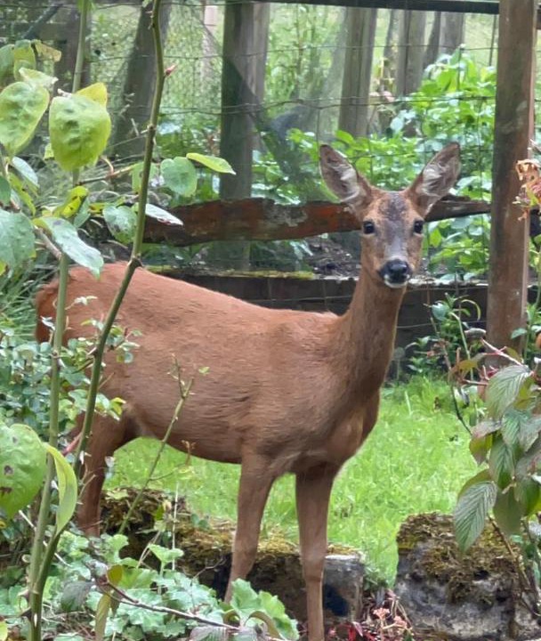 Photo of Others in Walliswood