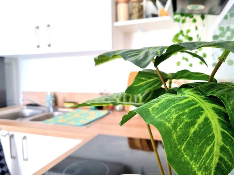 Photo of Others in Universite