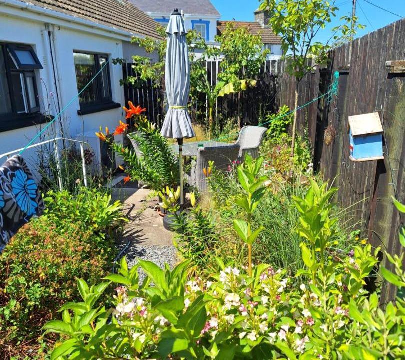 Photo of Others in Llansantffraed