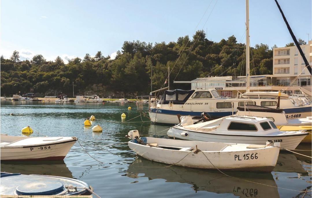 Photo of Others in Ploce