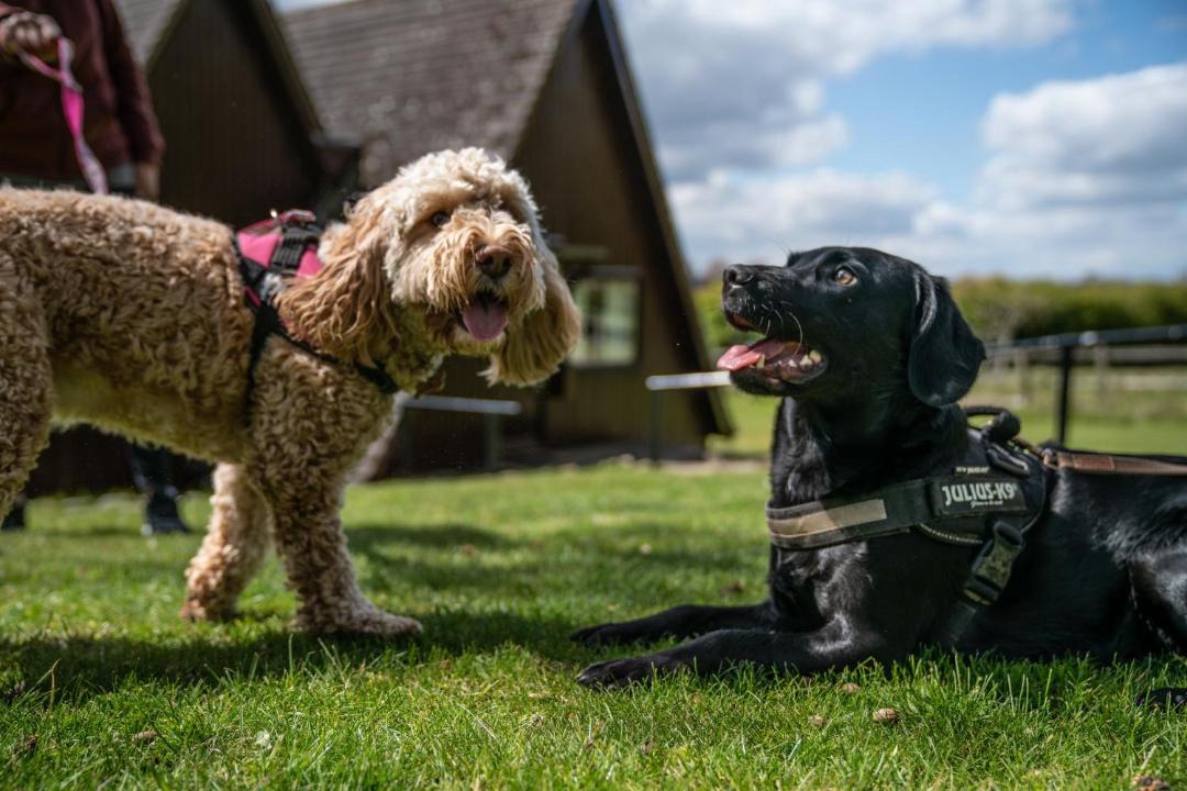 Photo of Others in Barnsdale