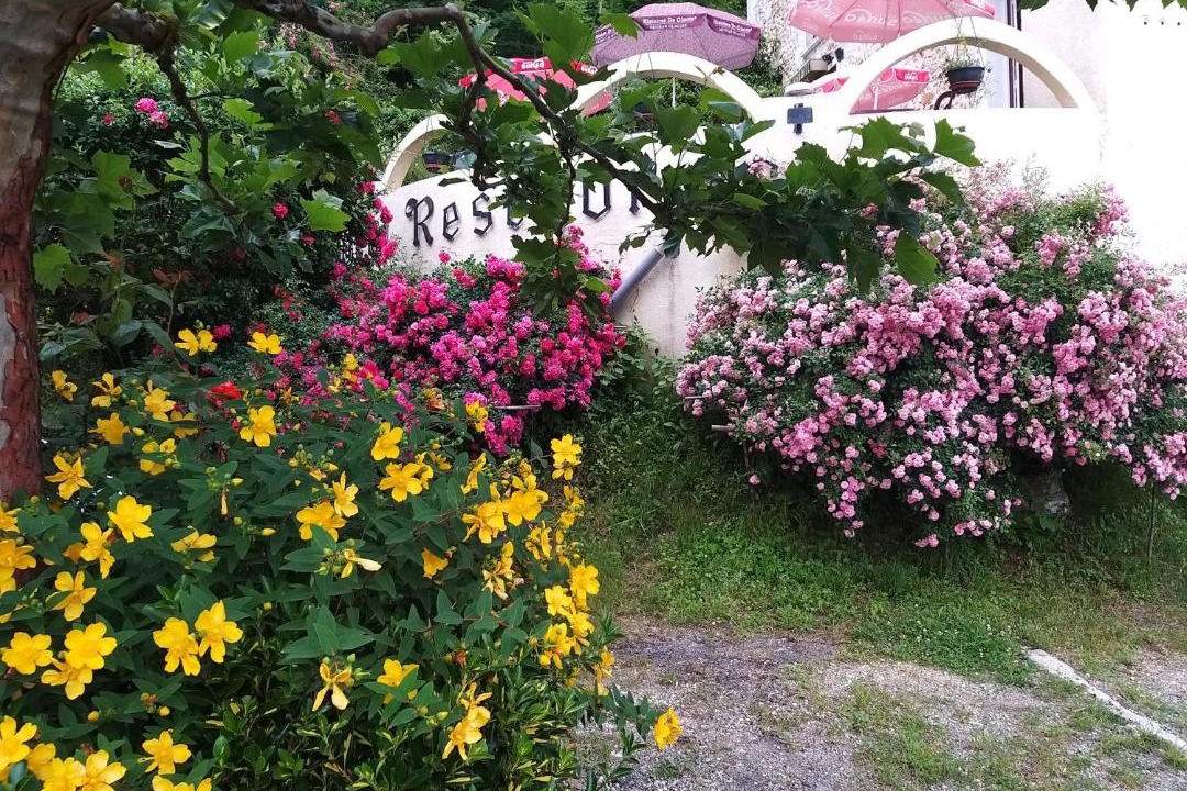 Photo of Others in Lembras