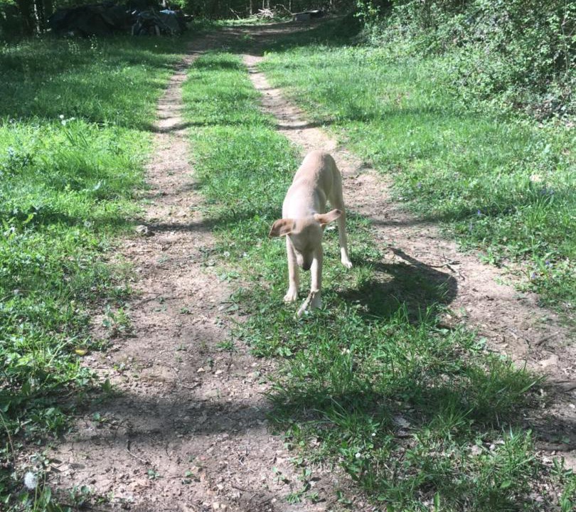 Photo of Others in Lembras