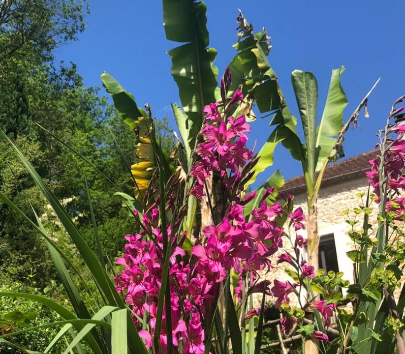 Photo of Others in Lembras