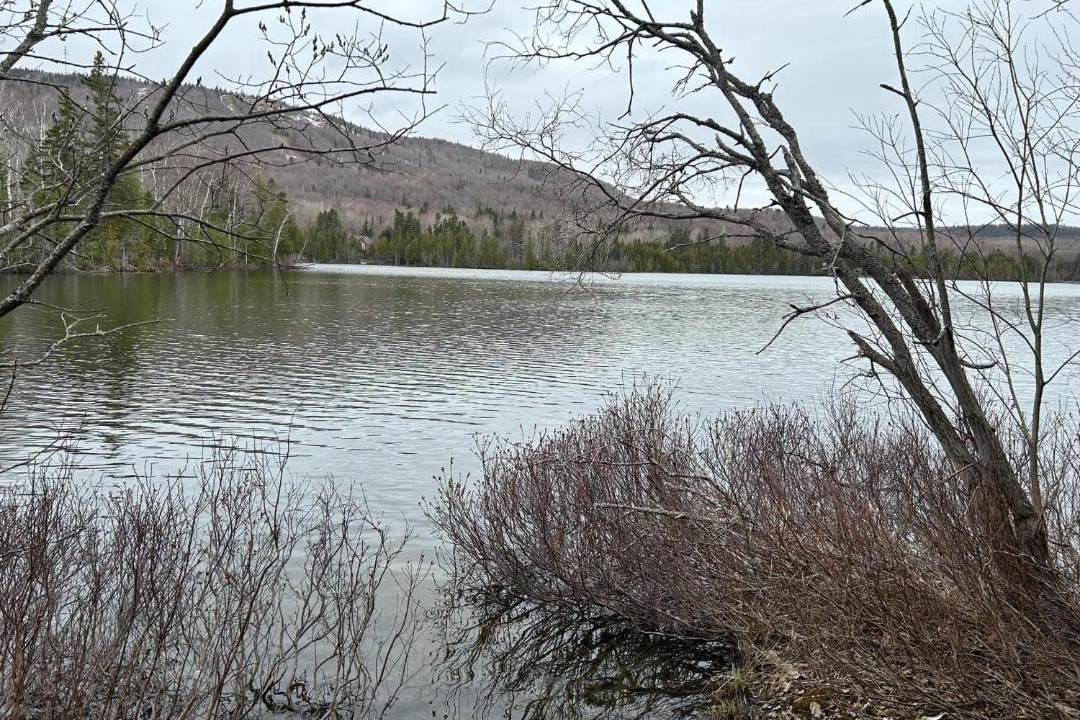 Photo of Others in Saint-Gabriel-de-Rimouski