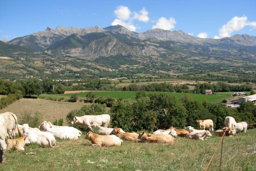 Photo of Others in Avancon