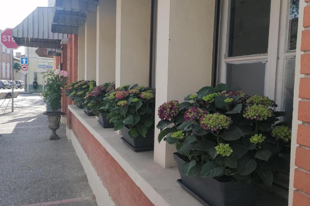 Photo of Others in Beaumont-de-Lomagne