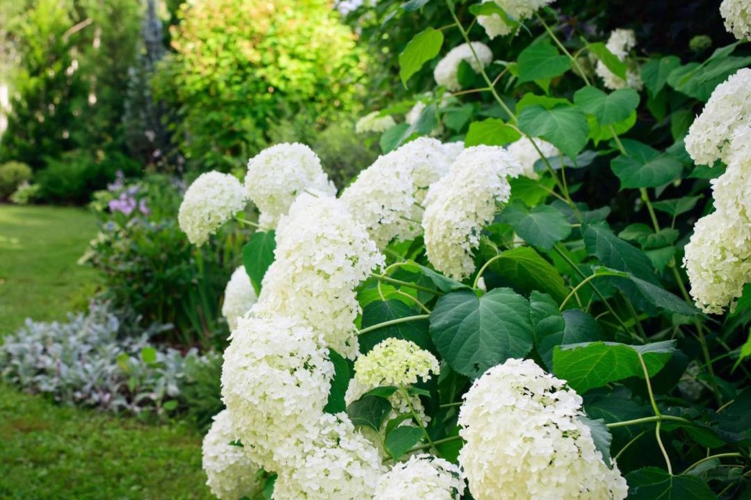 Photo of Outdoor in Rumegies