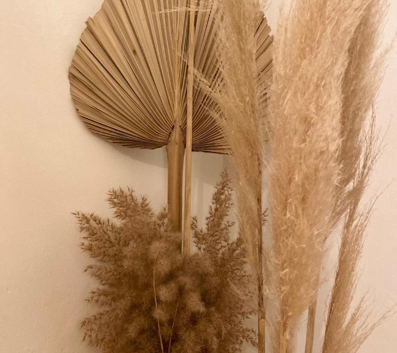 Photo of Others in Saint-Jean-de-Barrou