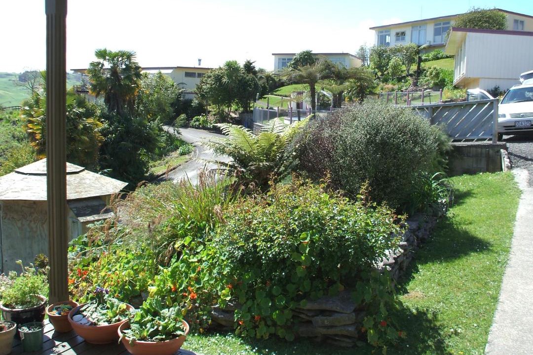 Photo of Others in Te Kuiti