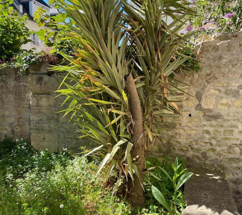 Photo of Others in Saint-Jean Eudes Saint-Gilles