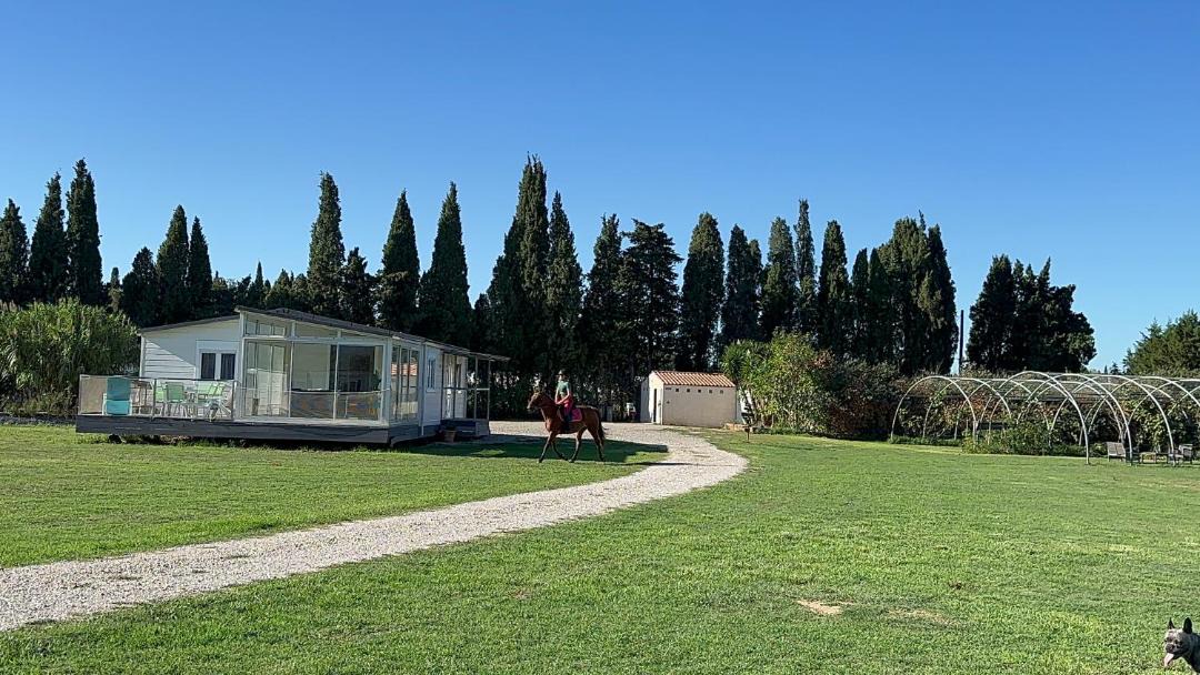 Photo of Others in Palau-del-Vidre