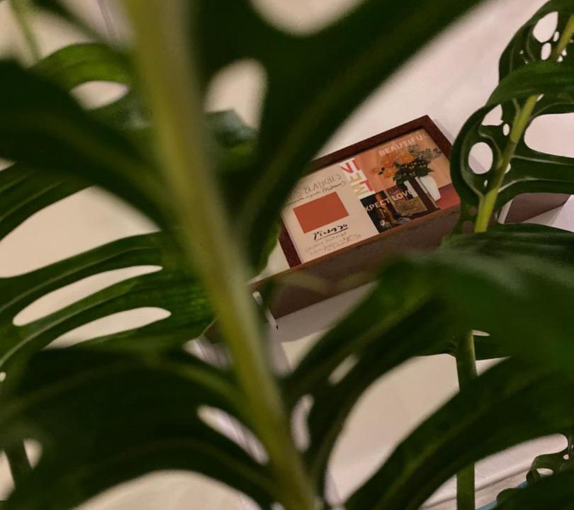 Photo of Others in Chinatown