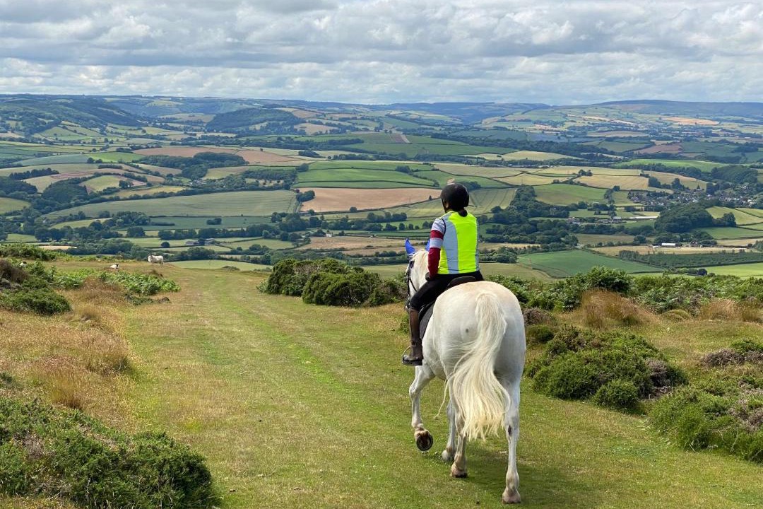 Photo of Others in Fiddington