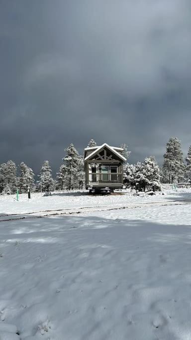 Photo of Others in Williams