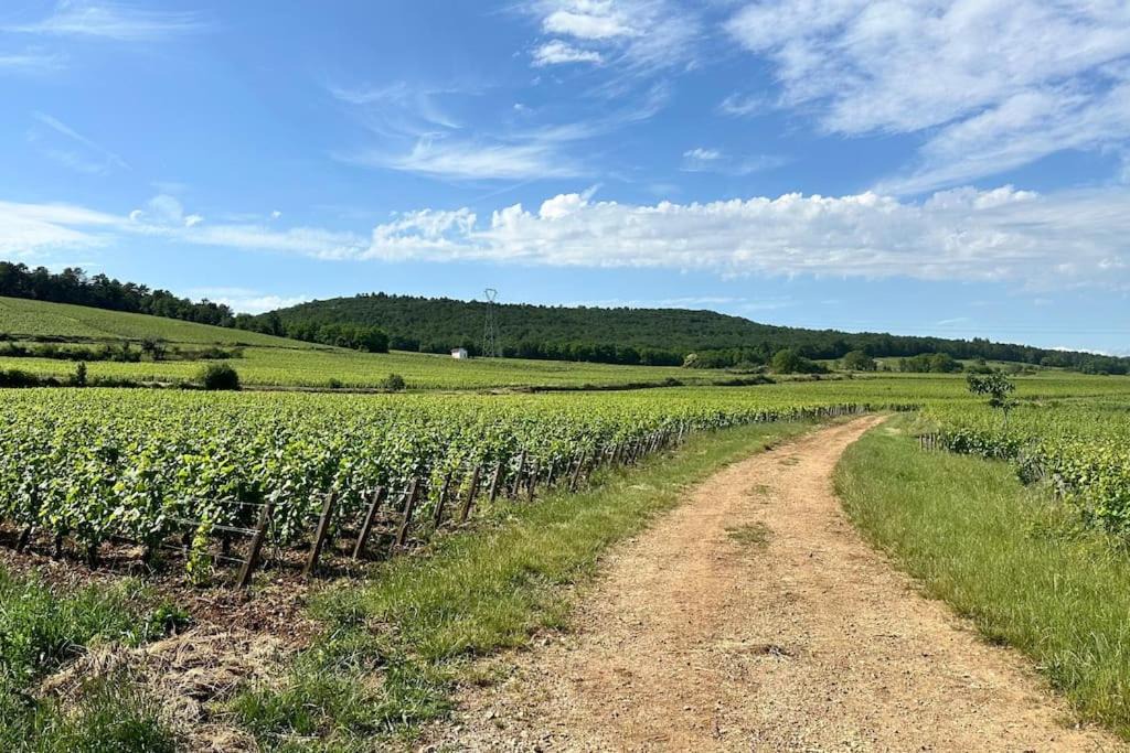 Photo of Others in Couchey