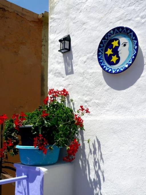 Photo of Others in Ulldecona