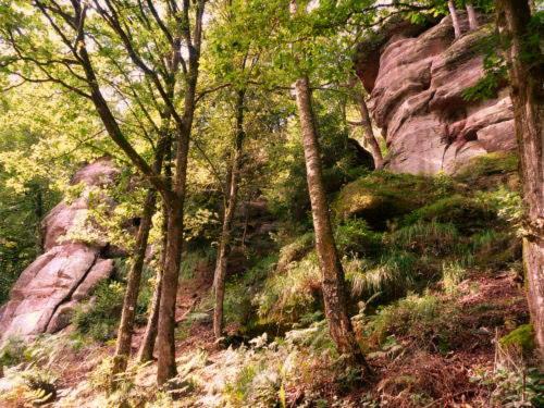 Photo of Others in Chantraine