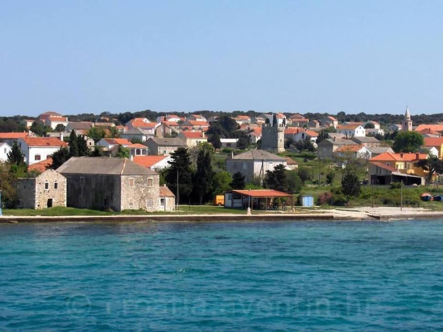 Photo of Others in Olib