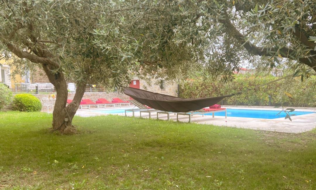 Photo of Others in Cesseras