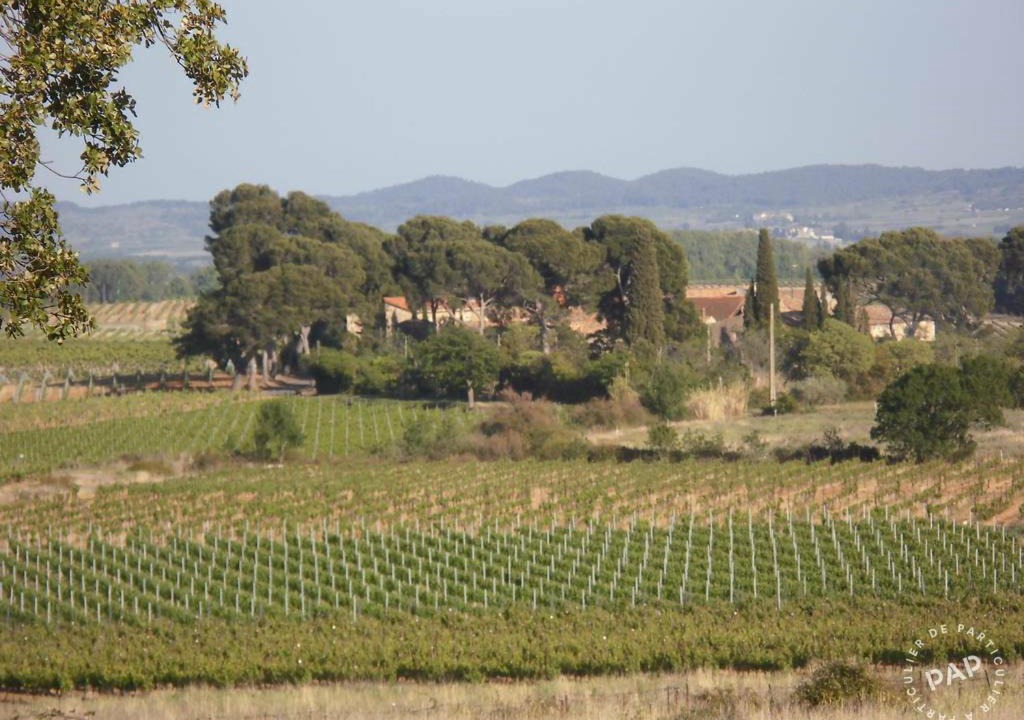 Photo of Others in Quarante
