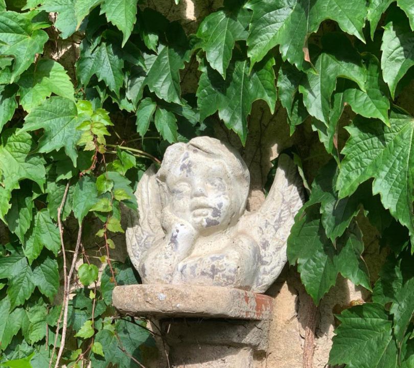 Photo of Others in Dolomieu