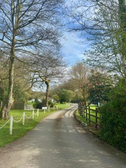 Photo of Others in Liskeard