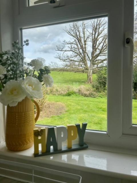 Photo of Others in Liskeard