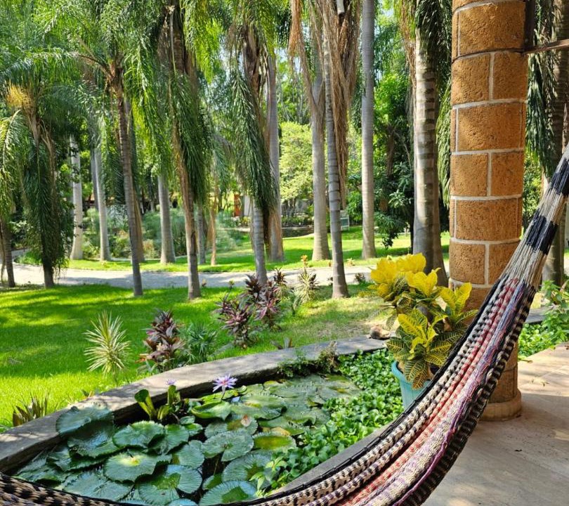 Photo of Others in Xochitepec