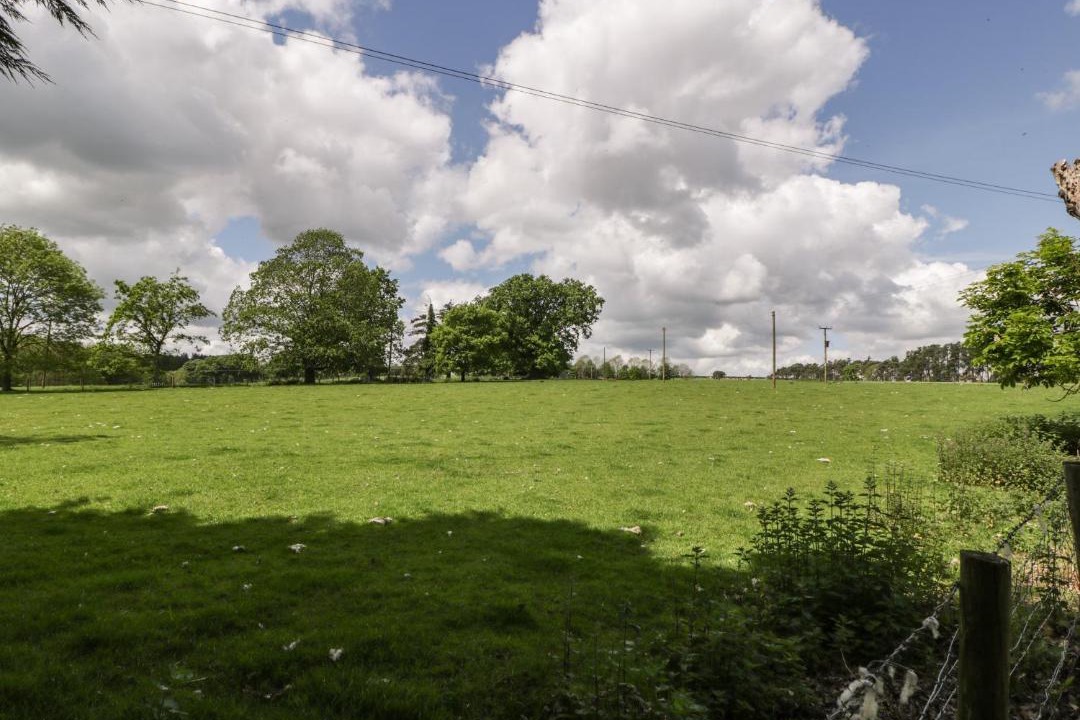 Photo of Others in Ludwel