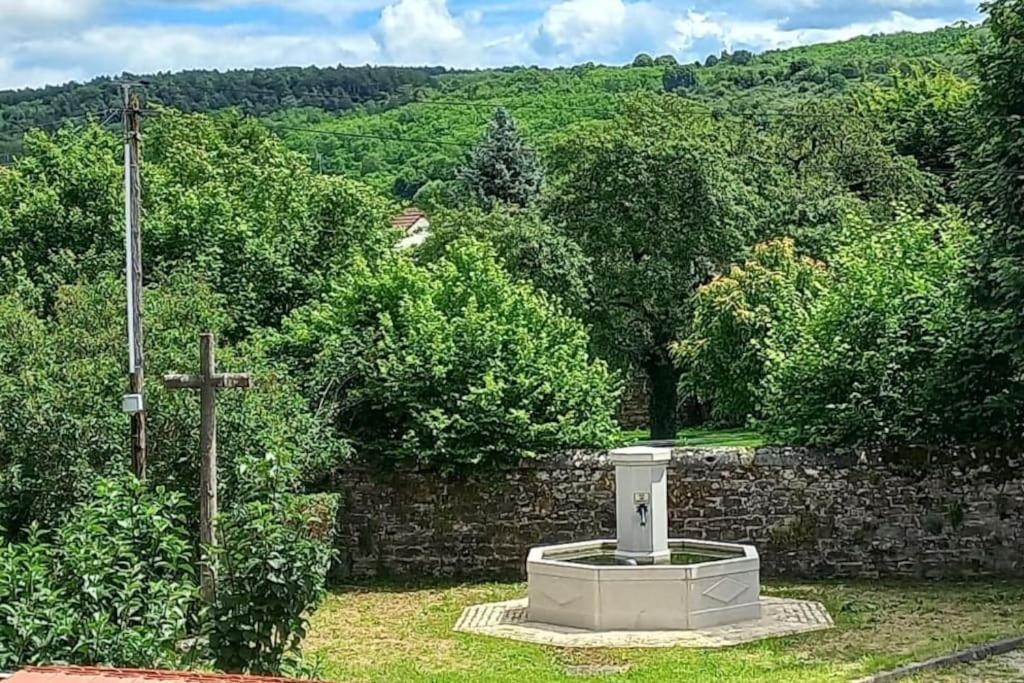 Photo of Others in Sainte-Agnes