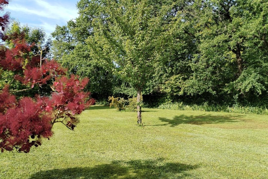 Photo of Others in Lainsecq