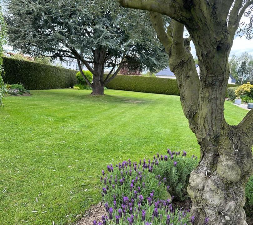 Photo of Others in Antrain