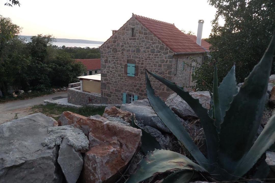 Photo of Others in Seline