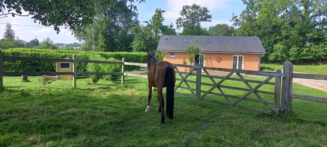 Photo of Others in St-Gilles-de-la-Neuville
