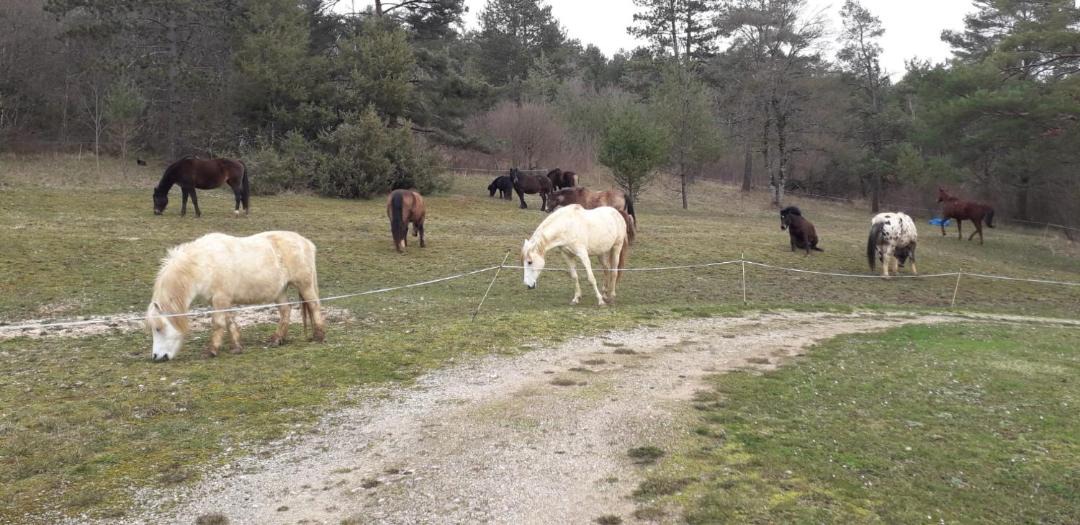 Photo of Others in Lantenay