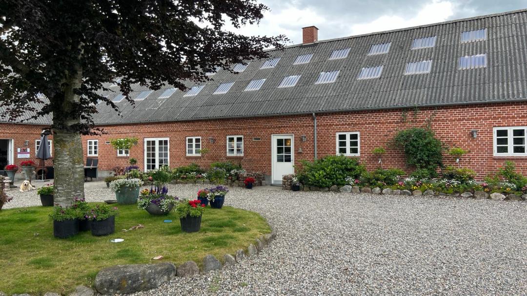 Photo of Others in Aalestrup