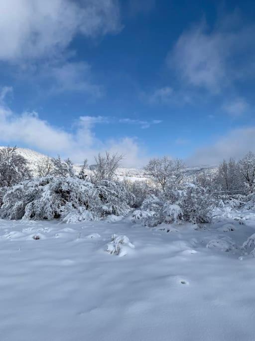 Photo of Others in Saint-Romans