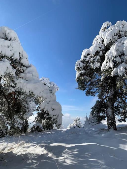 Photo of Others in Saint-Romans