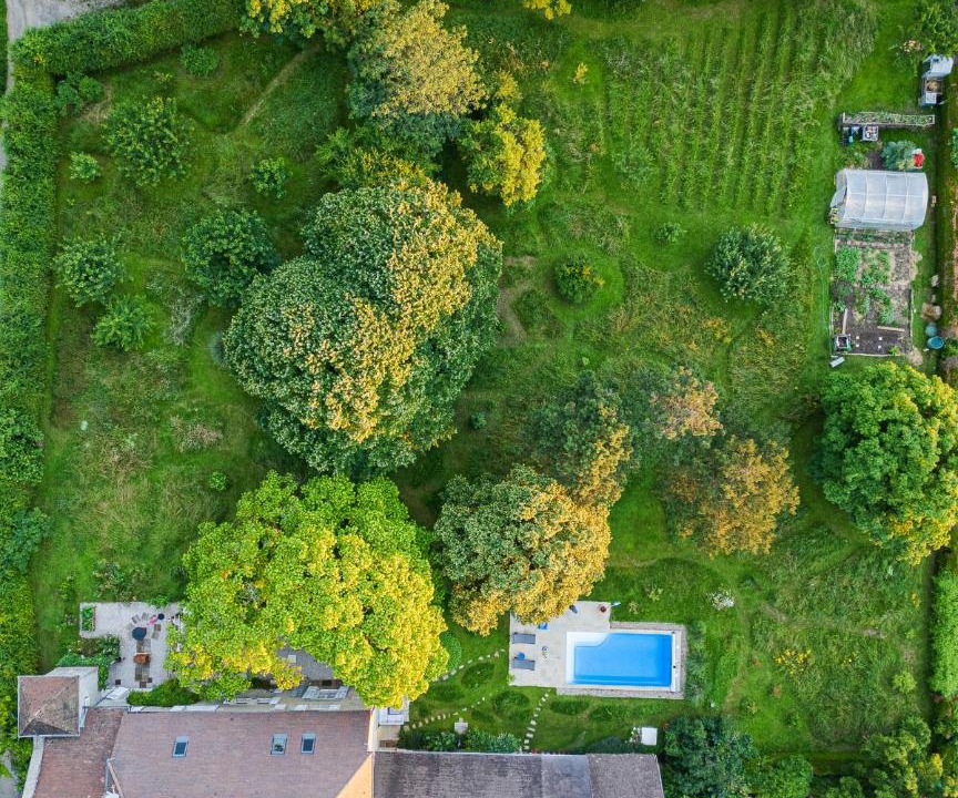 Photo of Others in Saint-Lothain