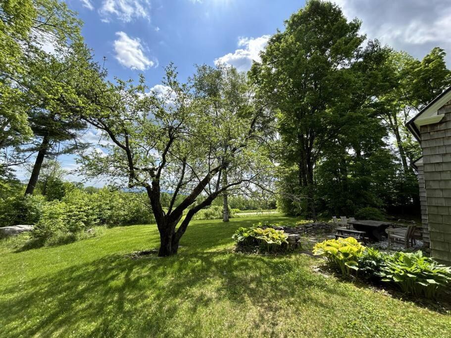 Photo of Others in Peru