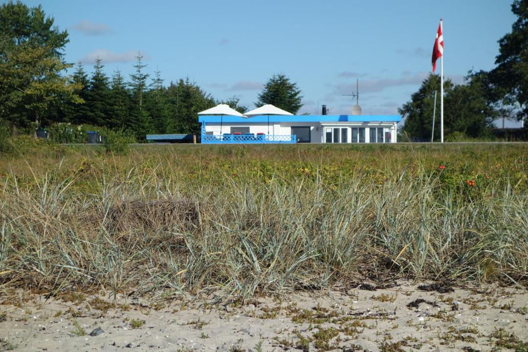 Photo of Others in Diernæs