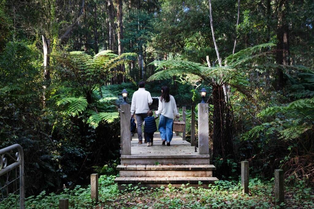 Photo of Others in Toolangi